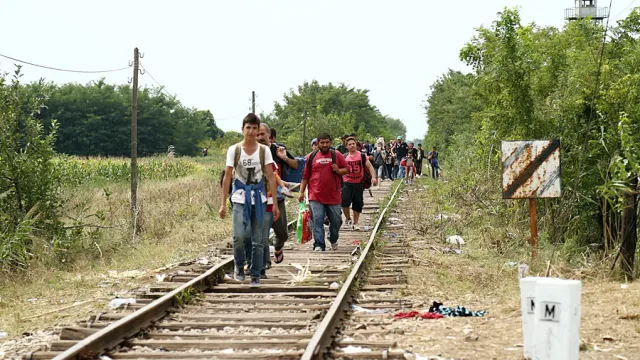 Migrants_in_Hungary_2015_Aug_010 (Foto: Gémes Sándor/SzomSzed) Migrants_in_Hungary_2015_Aug_010 — Migrants in Hungary near the Serbian border (Foto: Gémes Sándor/SzomSzed)