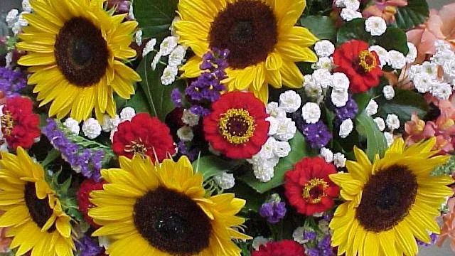 Blütenpracht 2 (Foto: Kirchenweb Bilder) Blütenpracht 2 (Foto: Kirchenweb Bilder)