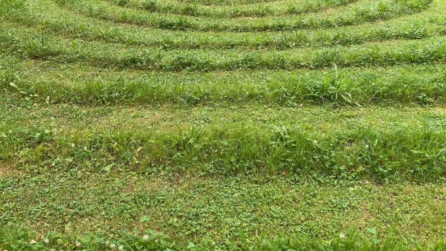 IMG_3221 (Foto: Pascale Rondez) IMG_3221 (Foto: Pascale Rondez)