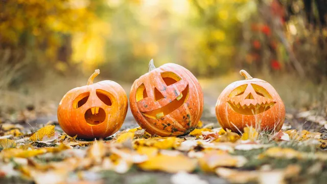 Halloween (Foto: pixabay)