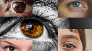 Augen (Foto: Maya Nussbaum)