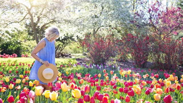 spring-pixabay_jillwellington (Foto: Jill Wellingtion Pixabay) spring-pixabay_jillwellington (Foto: Jill Wellingtion Pixabay)
