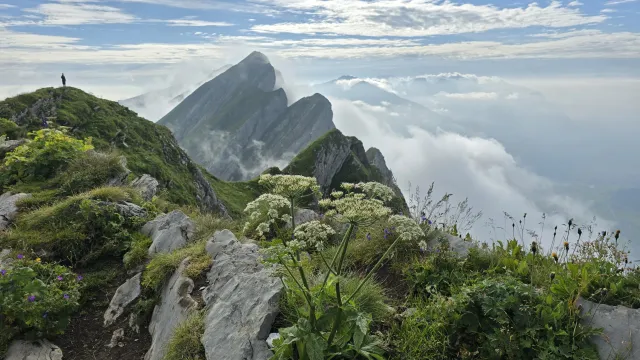 1000001204 (Foto: Matthias Rüsch) 1000001204 (Foto: Matthias Rüsch)