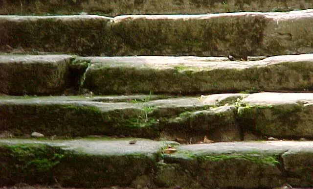 Alle Stufen nach oben (Foto: Kirchenweb Bilder)