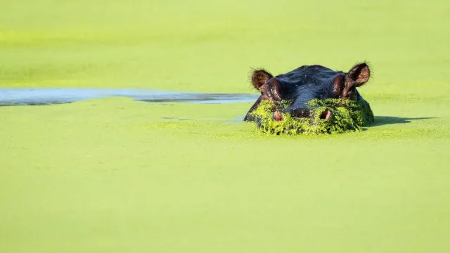 afrika (Foto: silvia trüssel) afrika (Foto: silvia trüssel)