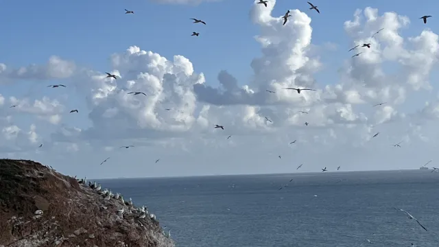 Spitalgottesdienst 8.9.2024 (Foto: Christine Wyttenbach) Spitalgottesdienst 8.9.2024 (Foto: Christine Wyttenbach)