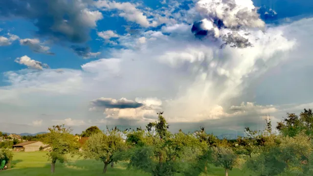 123 (Foto: Matthias Rüsch) 123 (Foto: Matthias Rüsch)