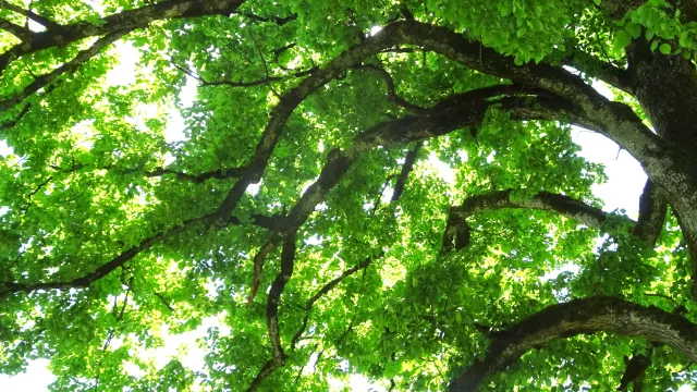 2025_07_09_Kirchenweb_Bild_DSC05811_b (Foto: Christina Reuter) 2025_07_09_Kirchenweb_Bild_DSC05811_b (Foto: Christina Reuter)