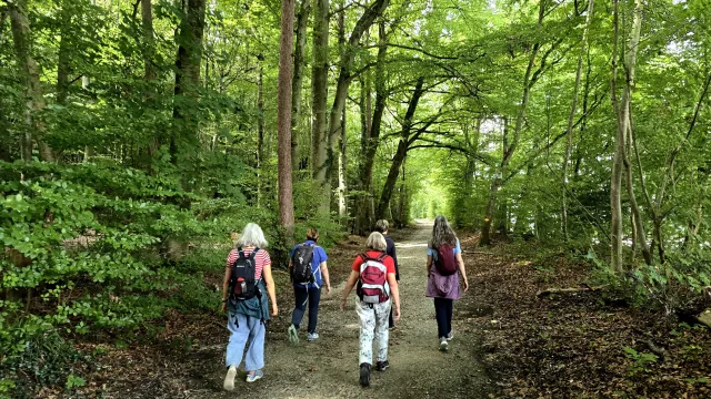 pilgern2 (Foto: Matthias Rüsch) pilgern2 (Foto: Matthias Rüsch)