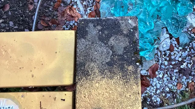 Impression (Foto: Peter Schneebeli) Impression (Foto: Peter Schneebeli)