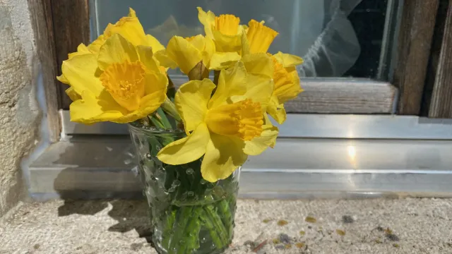 Österliches (Foto: Pascale Rondez) Österliches (Foto: Pascale Rondez)