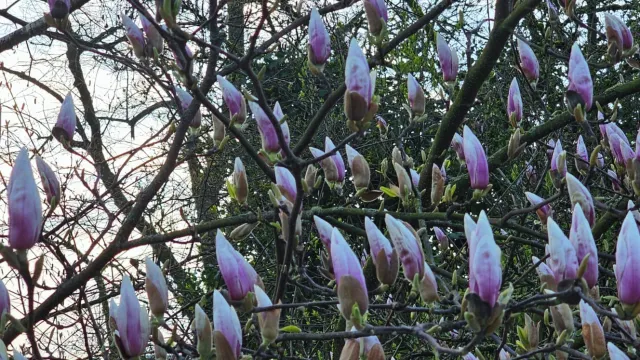 GD19042026 (Foto: Christine Wyttenbach) GD19042026 (Foto: Christine Wyttenbach)