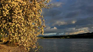 20250425_195329(1) (Foto: Matthias Rüsch) 20250425_195329(1) (Foto: Matthias Rüsch)