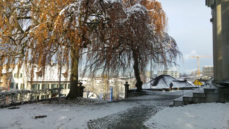 20171201_113243 (Foto: Peter Freitag) 20171201_113243 (Foto: Peter Freitag)